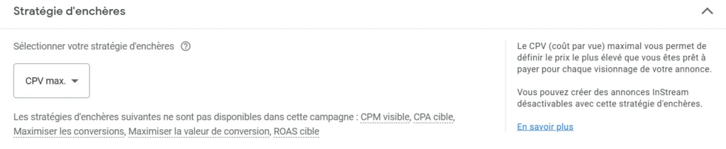 bidding strategy google ads cost per view